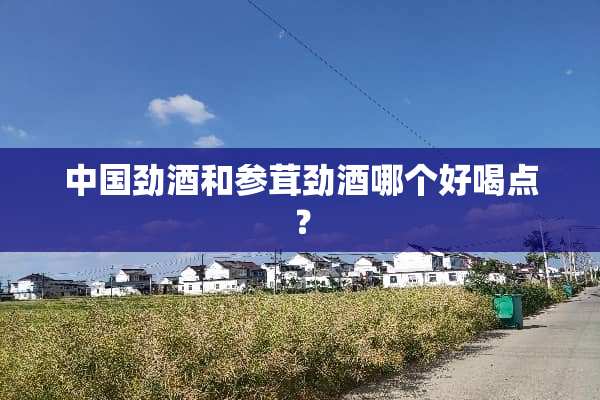 中国劲酒和参茸劲酒哪个好喝点？