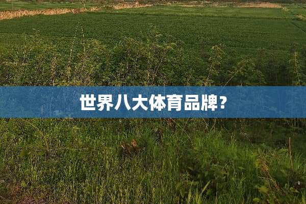 世界八大体育品牌？