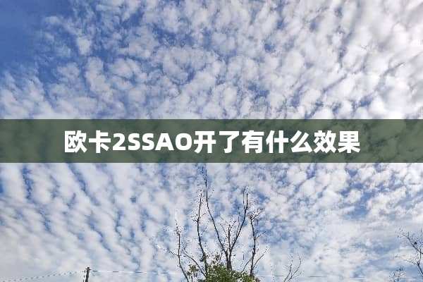 欧卡2SSAO开了有什么效果