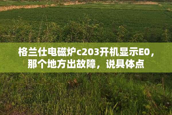 格兰仕电磁炉c203开机显示E0，那个地方出故障，说具体点