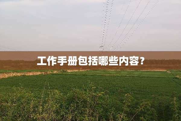 工作手册包括哪些内容？