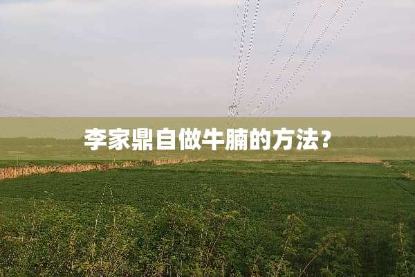 李家鼎自做牛腩的方法？