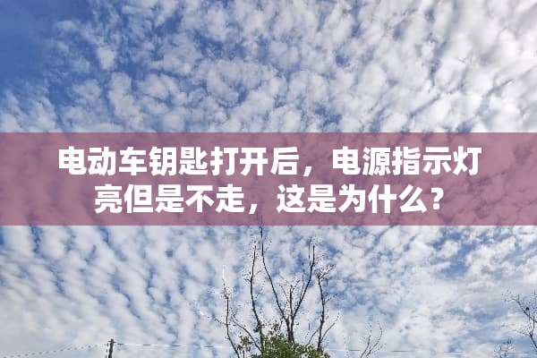 电动车钥匙打开后，电源指示灯亮但是不走，这是为什么？