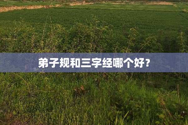 弟子规和三字经哪个好？