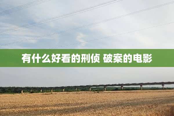 有什么好看的刑侦 破案的电影