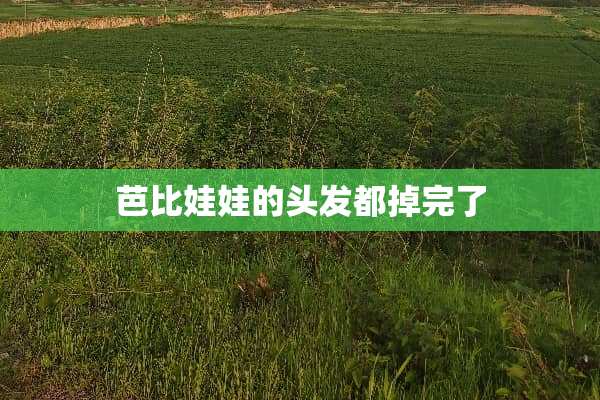 芭比娃娃的头发都掉完了