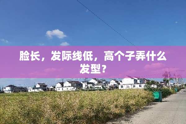 脸长，发际线低，高个子弄什么发型？