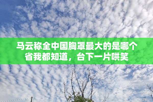 马云称全中国**最大的是哪个省我都知道，台下一片哄笑