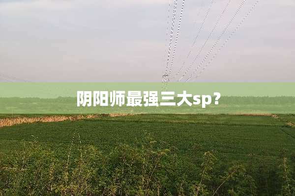 *阳师最强三大sp？