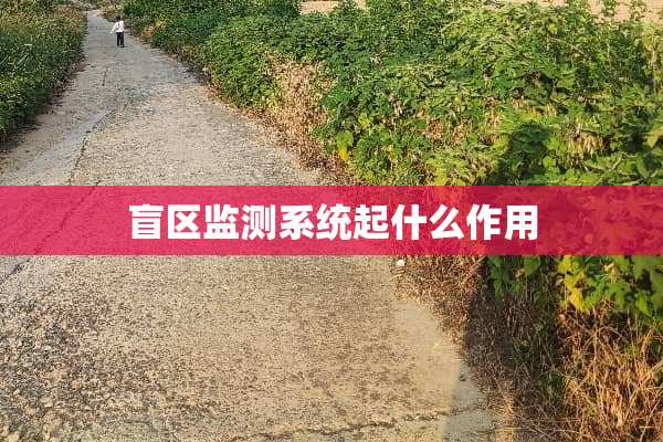 盲区监测系统起什么作用