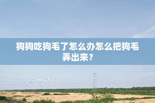 狗狗吃狗毛了怎么办怎么把狗毛弄出来？
