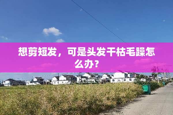 想剪短发，可是头发干枯毛躁怎么办？