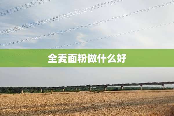 全麦面粉做什么好
