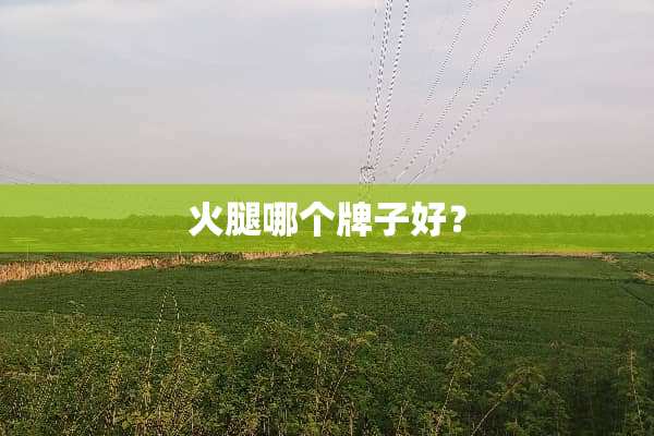 火腿哪个牌子好？
