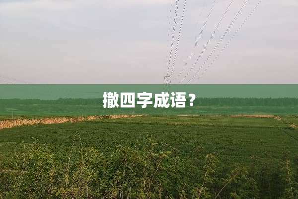 撤四字成语？