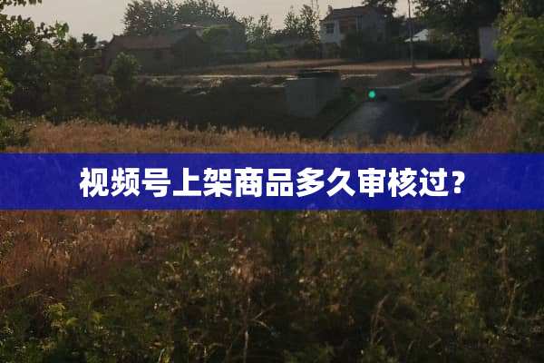 视频号上架商品多久审核过？