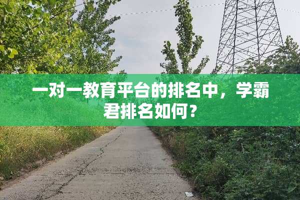 一对一教育平台的排名中，学霸君排名如何？