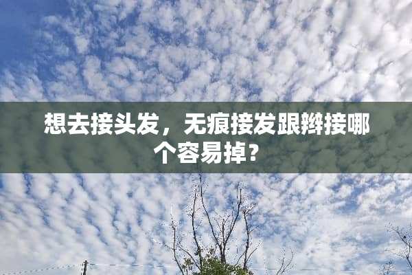 想去接头发，无痕接发跟辫接哪个容易掉？