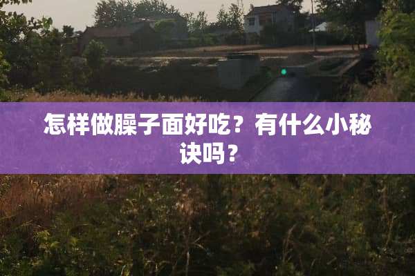 怎样做臊子面好吃？有什么小秘诀吗？