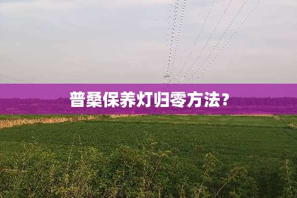 普桑保养灯归零方法？