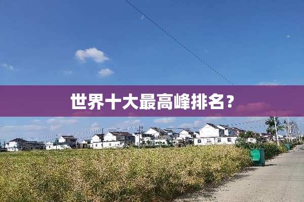 世界十大最高峰排名？