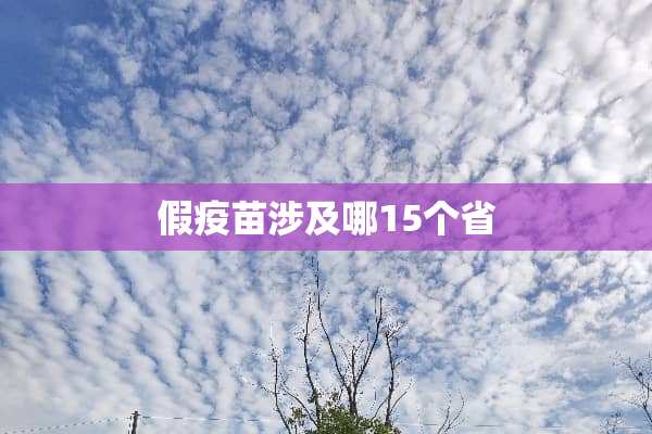 假**涉及哪15个省