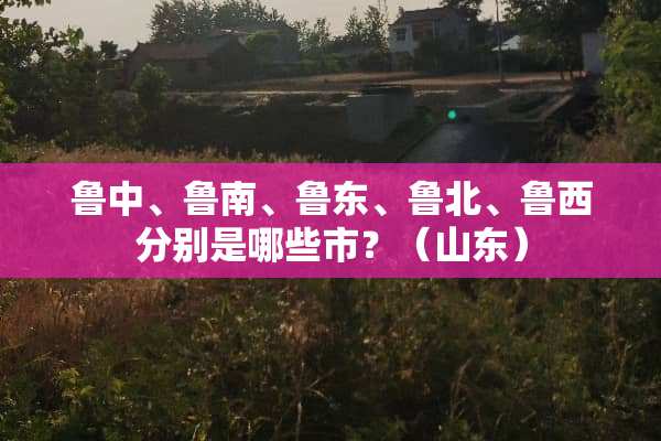 鲁中、鲁南、鲁东、鲁北、鲁西分别是哪些市？（山东）