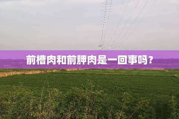 前槽肉和前胛肉是一回事吗？