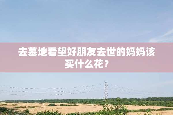 去墓地看望好朋友去世的妈妈该买什么花？
