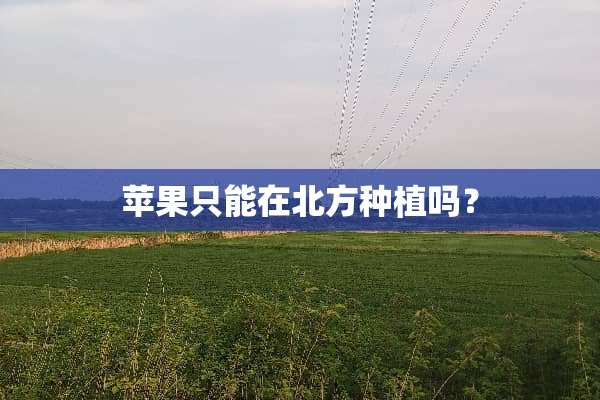 苹果只能在北方种植吗？