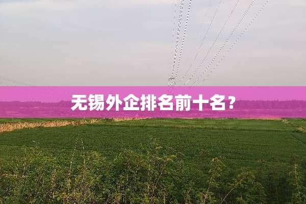 无锡外企排名前十名？