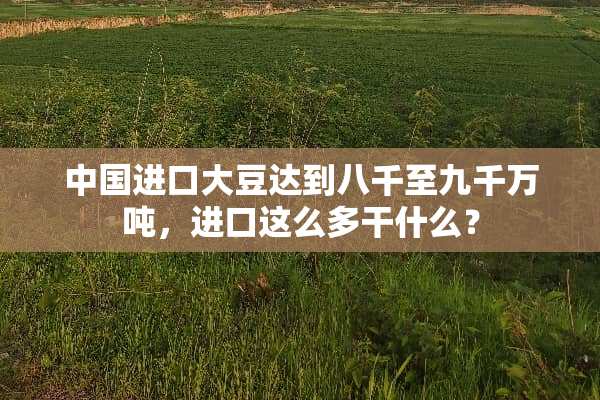 中国进口大豆达到八千至九千万吨，进口这么多干什么？