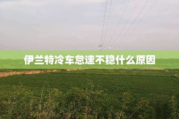 伊兰特冷车怠速不稳什么原因