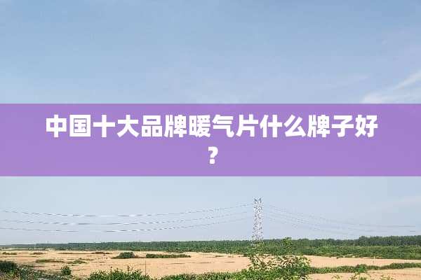 中国十大品牌暖气片什么牌子好？