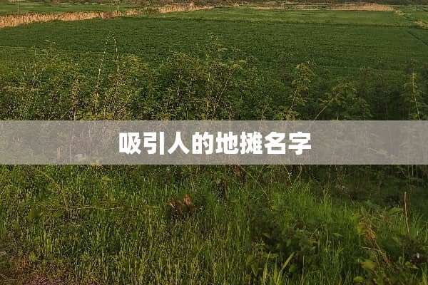 吸引人的地摊名字