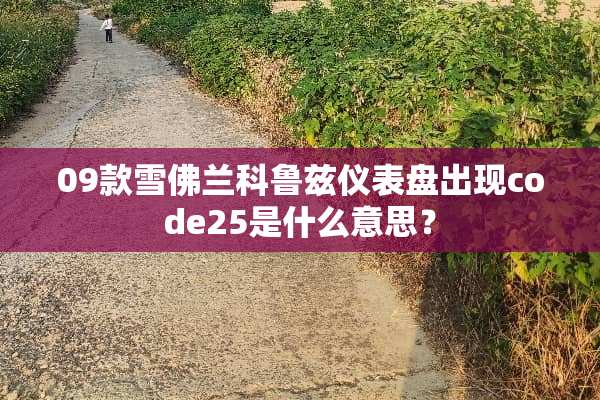 09款雪佛兰科鲁兹仪表盘出现code25是什么意思？