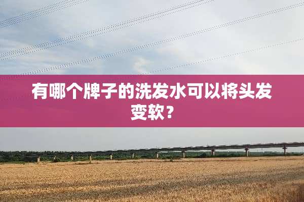 有哪个牌子的洗发水可以将头发变软？