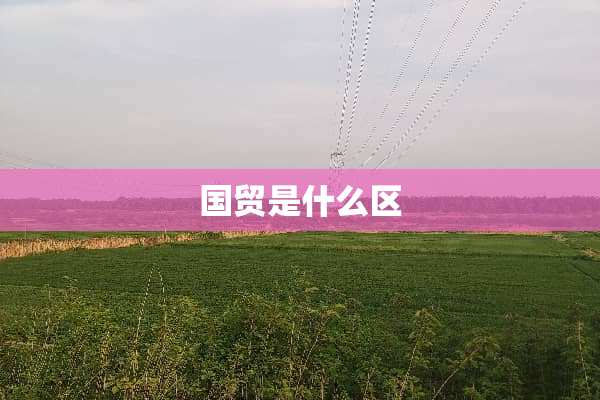 国贸是什么区