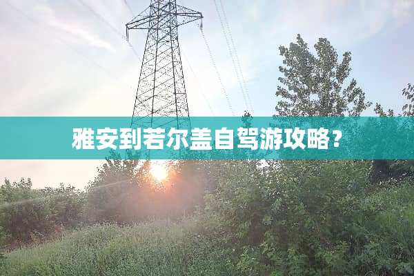 雅安到若尔盖自驾游攻略？