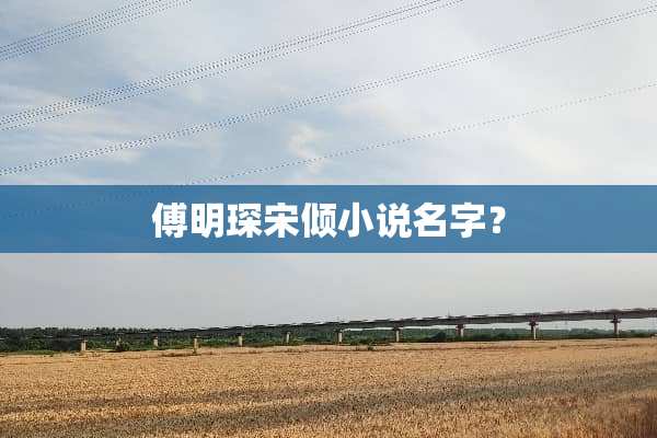 傅明琛宋倾小说名字？