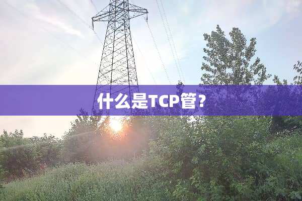 什么是TCP管？