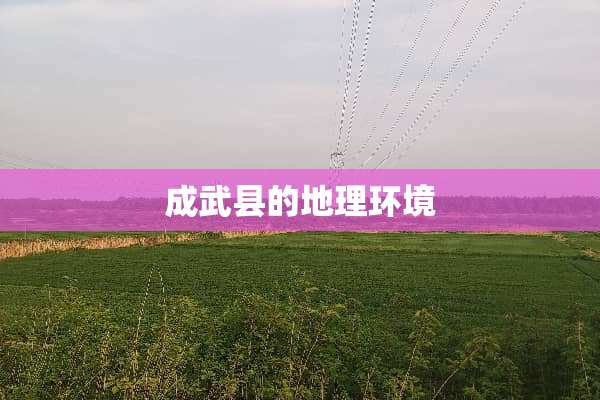 成武县的地理环境