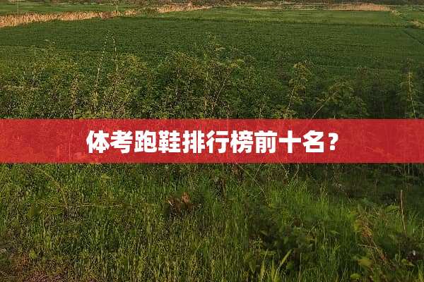 体考跑鞋排行榜前十名？