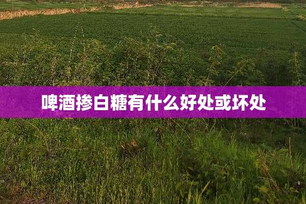 啤酒掺白糖有什么好处或坏处