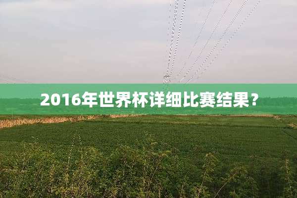 2016年世界杯详细比赛结果？