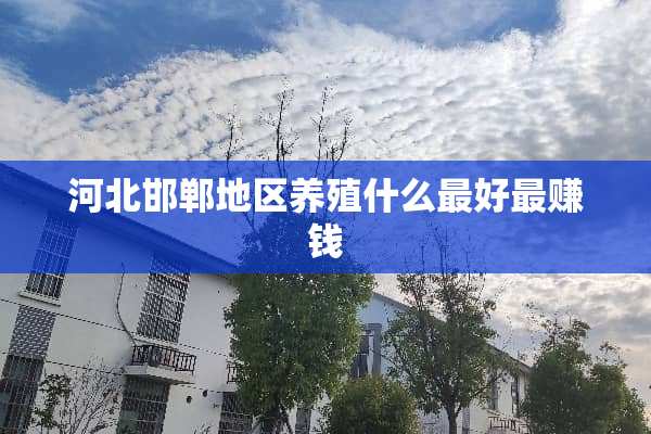 河北邯郸地区养殖什么最好最赚钱