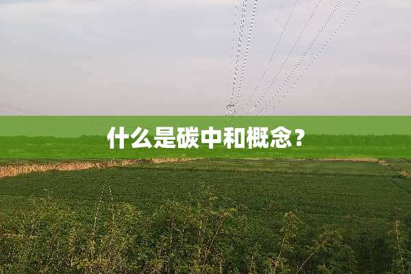 什么是碳中和概念？