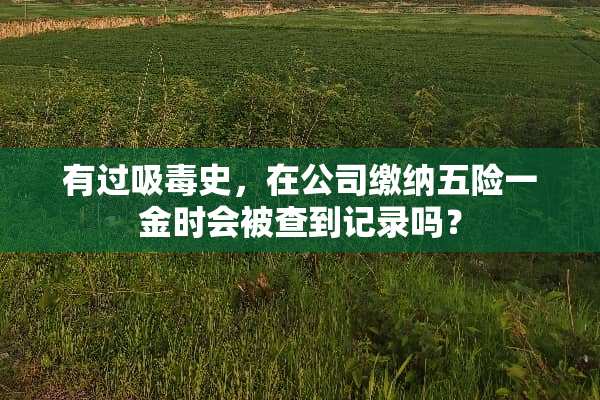 有过吸毒史，在公司缴纳五险一金时会被查到记录吗？