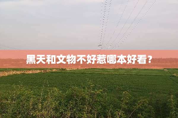 黑天和文物不好惹哪本好看？