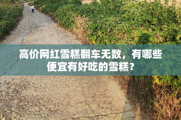 高价网红雪糕翻车无数，有哪些便宜有好吃的雪糕？